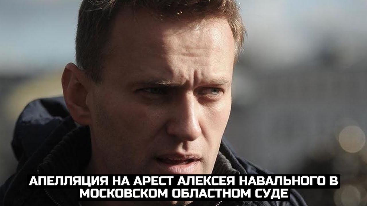 Апелляция на арест Алексея Навального в Московском областном суде / LIVE 28.01.21