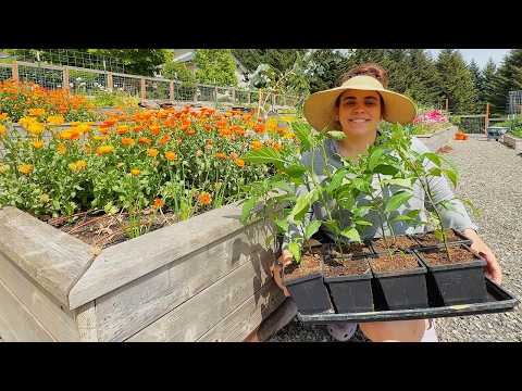 Planting the Crops that Will Feed Us All Winter!