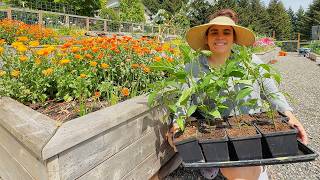 Planting the Crops that Will Feed Us All Winter!