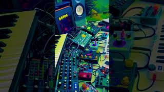 Model 15 + TD-3 + Digitakt + Mbase + Quasimidi Sirius #liveperformance