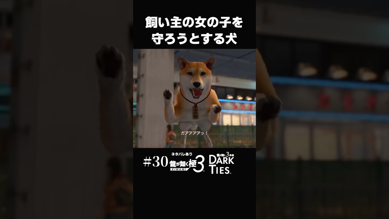 女の子を守ろうとする忠犬マメ【#30 龍が如く極3 】#shorts