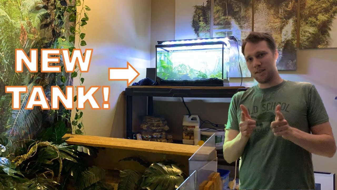 New Tank! - Future Breeding Tank for Feeder Fish for My Pet Turtles!