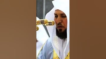 سورة النحل / القارئ ماهر المعيقلي