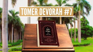 Attribute 4b: You Are Inside of Me; I Am Inside of You | Tomer Devorah #7