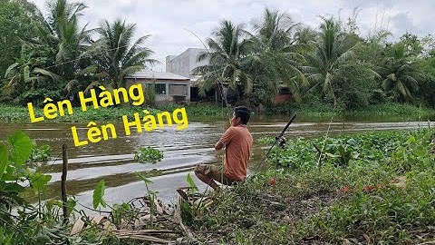 Một ngày đi câu dạo, săn cá tra sông | Săn bắt SÓC TRĂNG |