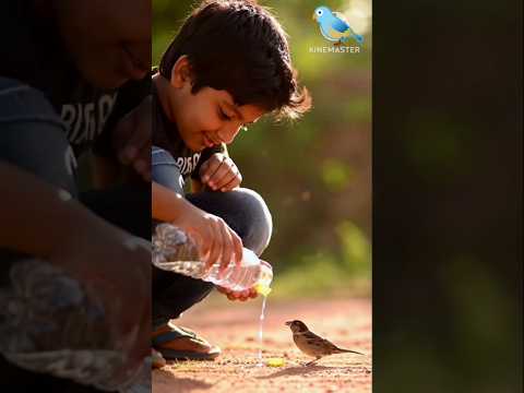 #चिड़िया# हुई #गर्मी#🐦🐦  #बीमार#youtubeviews#shorts