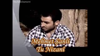 Mehmet Şanlî - Tu Nizanî Resimi