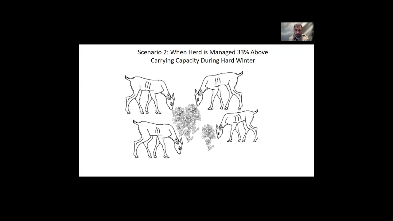 2021 Gunnison, Colorado BigGame Update YouTube