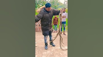 इच्छाधारी नागिन मां और बेटी कहानी🐍🙏#shorts #youtubeshorts #snake #naagin #nagin #mahadev #shiv #maa