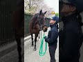 【セカンドキャリウマ】　警視庁騎馬隊編オフショット　～実はキス好き？ナスノセイカン～