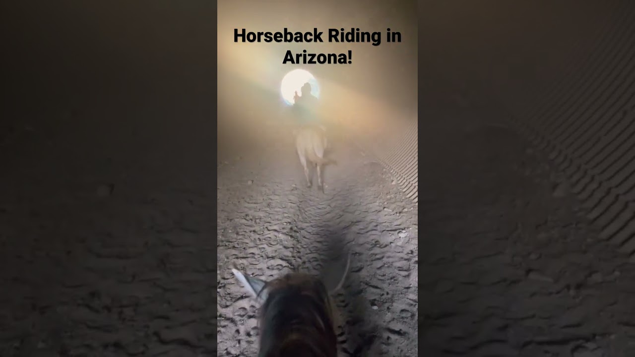 Horseback riding in Arizona 