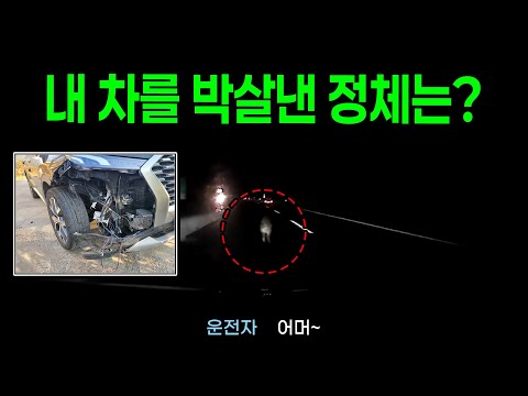 23976회. 차 범퍼가 파손된 상태로 운행했습니다ㅠㅠ..