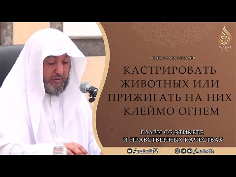 Кастрировать животных или прижигать на них клеймо огнем | Шейх Сами ас-Сукъайр ᴴᴰ