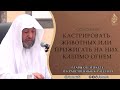 Кастрировать животных или прижигать на них клеймо огнем | Шейх Сами ас-Сукъайр ᴴᴰ