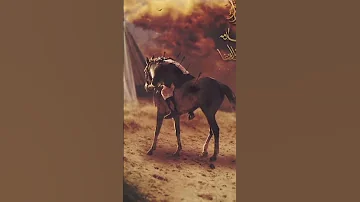 Hussain Ahwarun Ahwarun Arabic Short 