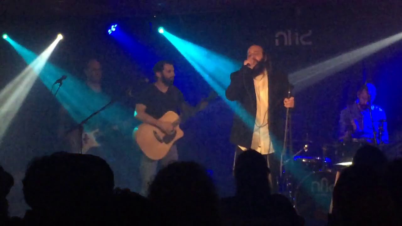 אהרון כהן שאגת הארי