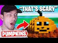 PUMPKIN CARVING CONTEST IN FORTNITE! (Spooky)