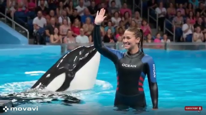 jessica radcliffe orca attack - YouTube