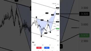 المصرية للدواجن 60%