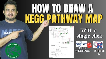 How to draw a KEGG pathway map
