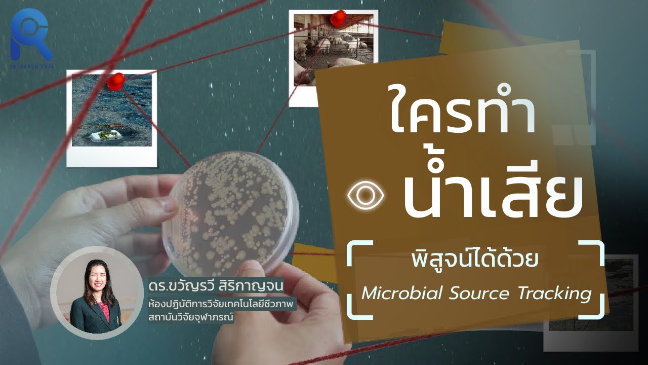 ใครทำน้ำเสีย? พิสูจน์ได้ด้วย Microbial Source Tracking - YouTube