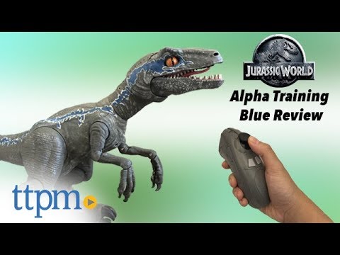 Jurassic World Blue Raptor Trainer Pyjamas 2 to 8 years NEW 2020 