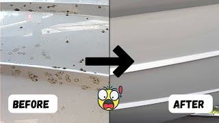 How to Remove Barnacles from your Boat