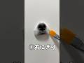 【2026年ver】途中でやる気が無くなってしまいました#チワワ #犬のいる生活#似顔絵