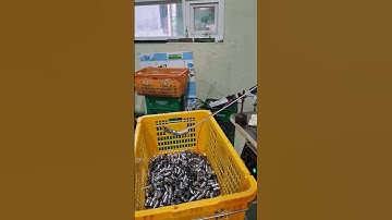 (주)현대멀티테크 070-4124-8339