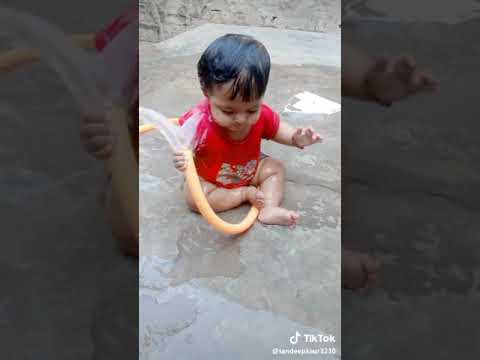 Baby status on tiktok