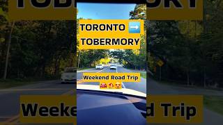 Toronto to Tobermory Weekend Itinerary 🇨🇦 | Save This Trip!