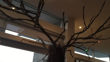 DIY + PHYSICAL COMPUTING | THE SOUND TREE Ep.6