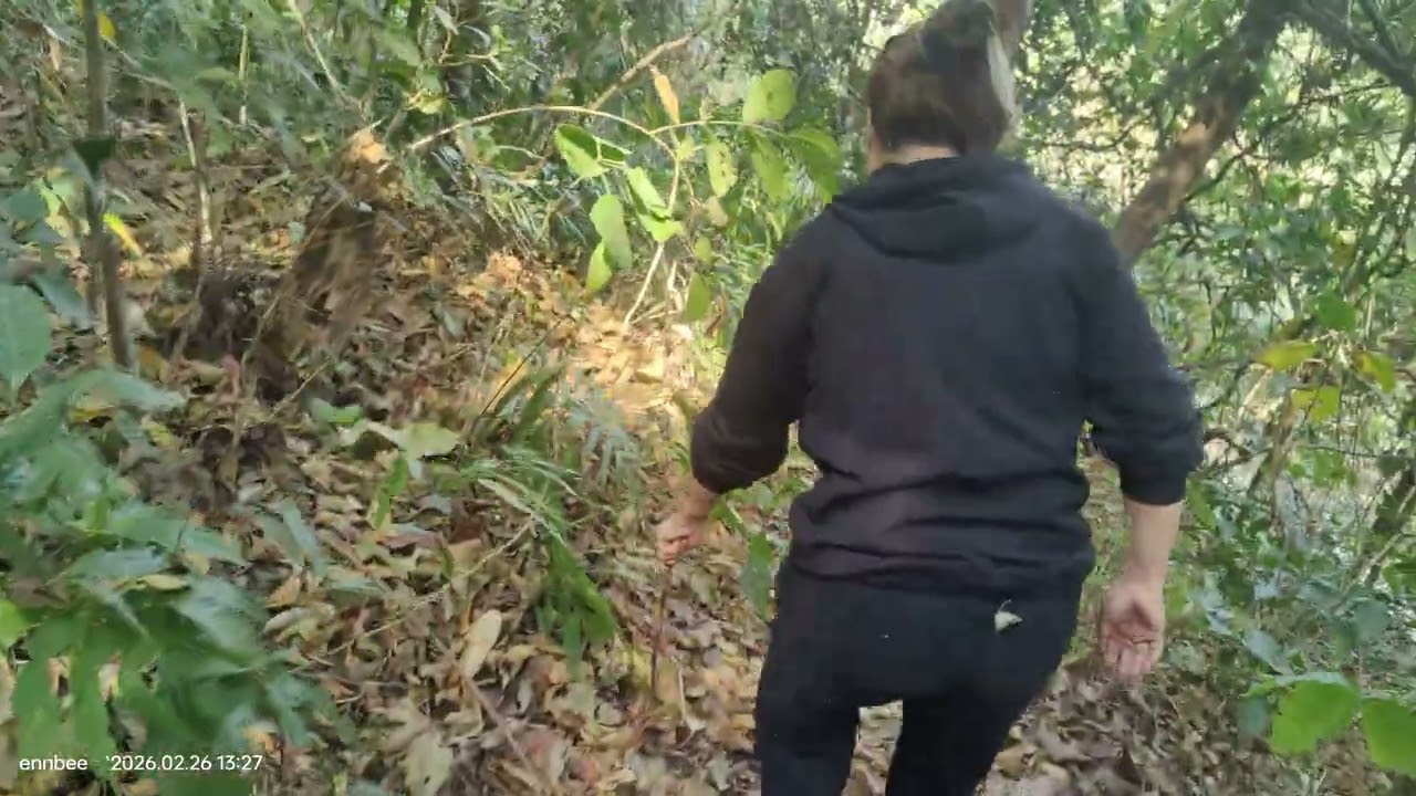 Ṭhiannu meloi che tla thlir ang. 😁