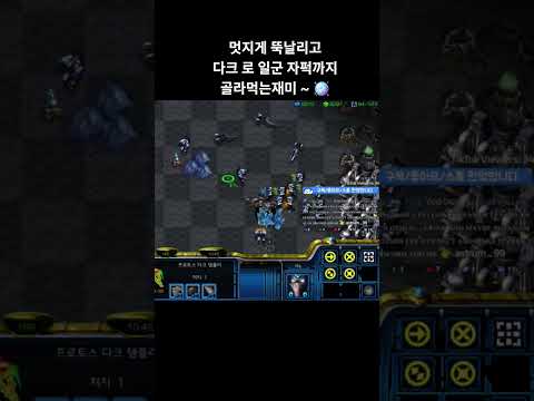 하이라이트 #shorts #gaming #game #starcraft #스타크래프트 #스타 #빨무  #스타크래프트리마스터 #게임 #프로토스 #빠른무한 #빨무팀플 #games