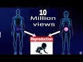 CBSE Class 12 Biology || Human Reproduction || Full Chapter || By Shiksha House