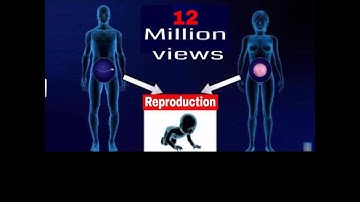 CBSE Class 12 Biology || Human Reproduction || Full Chapter || By Shiksha House