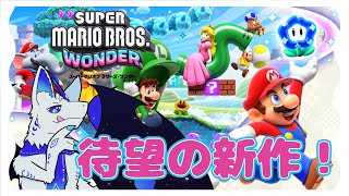 【スーパーマリオブラザーズワンダー】W3はどんな冒険になるか…