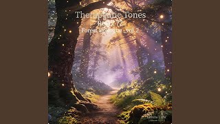 Forest Epilogue_Vol.2‐Infinite Light‐ (Warm Forest‐B♭ Major‐)