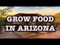 Grow Your Own Food in Phoenix Arizona