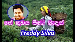Thea Kudaya Pite Badan - Freddy Silva - තේ කූඩය පිටේ බැදන් chords