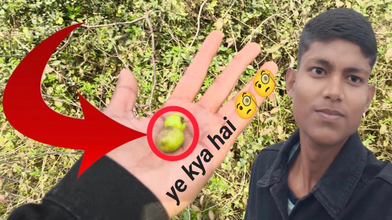 Aaj ber khane Gaya 😀🧐😆😃