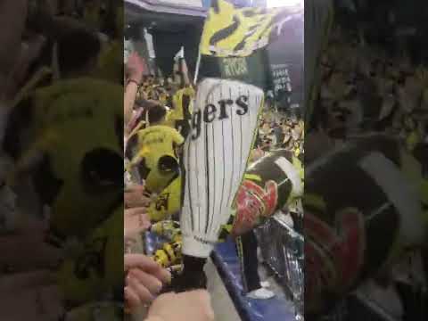 2019年、東京ドーム、巨人VS阪神、阪神応援席‼️