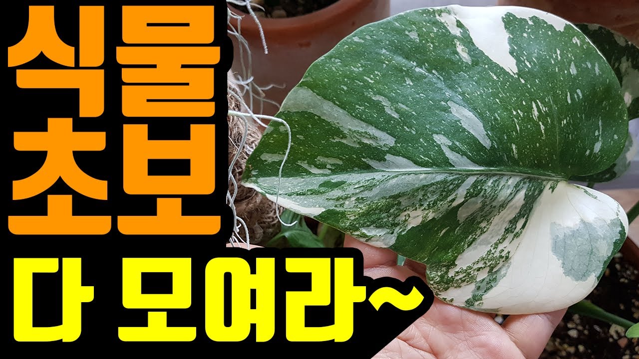 워터 코인 - 풀박사