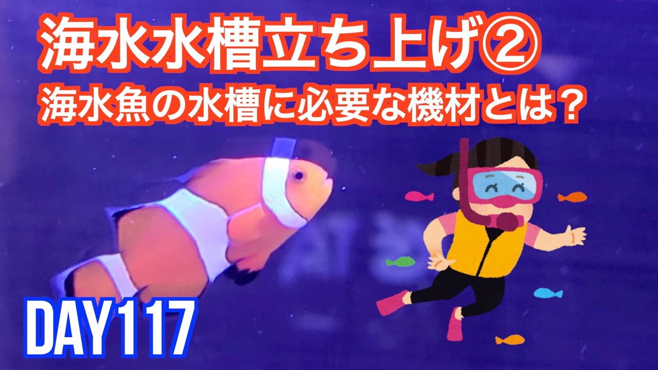 DAY117 海水水槽立ち上げ② 海水魚の水槽に必要な機材とは? - YouTube DAY117 海水水槽立ち上げ② 海水魚の水槽に必要な機材とは? - YouTube