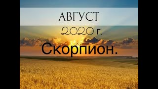 Скорпион. Таро-прогноз на Август 2020 года.