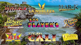 Tierra Caliente Mix 2024⚡Tierra Cali, Los Players, La dinastia de Tuzantla, Los Remis, Alfa7 ⚡