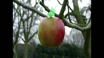 the game of DEATH! an interactive video: BEGIN