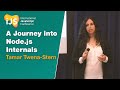 A Journey into Node.js Internals talk, by Tamar Twena-Stern