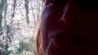 VID-20130419-00000