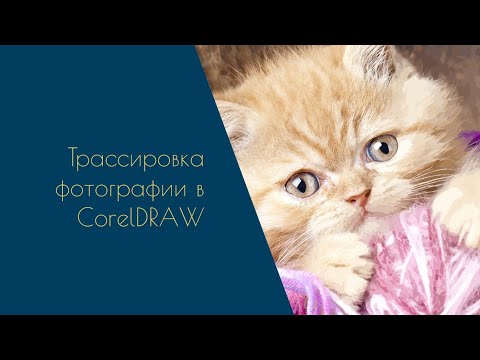 CorelDRAW Tutorial - трассировка фотографии. #coreldraw #coreldrawtutorial #трассировка #tracing